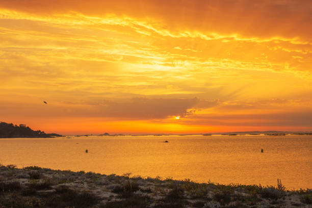 istock Colorful sunset on Arousa estuary 850915732