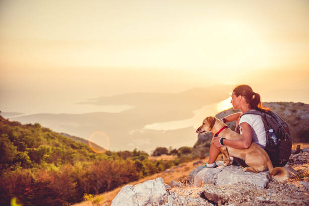 istock Woman with a dog on a mountain top 850915736