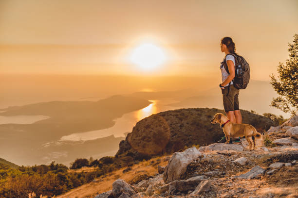 istock Woman with a dog on a mountain top 850916438