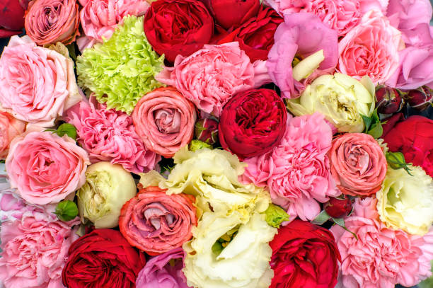 istock Colorful flowers background 850918032