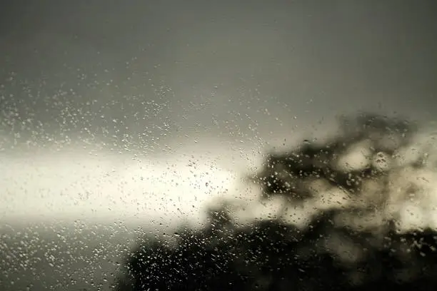 Photo of Rain