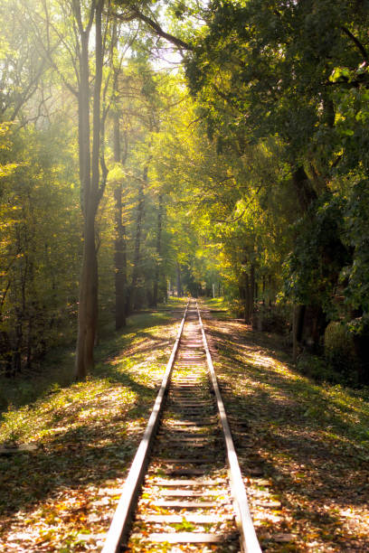 istock Railway in the autumn park. 850921928
