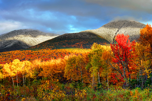 Peak fall foliage and snowcapped mountians in New Hampshire's White Mountains