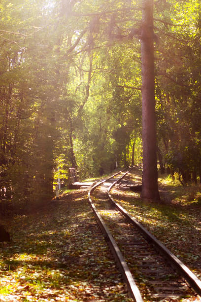 istock Railway in the autumn park. 850922010