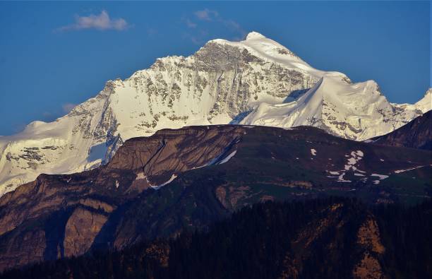 atardecer de verano las cumbres del alto de bernese oberland, suiza - silberhorn fotografías e imágenes de stock