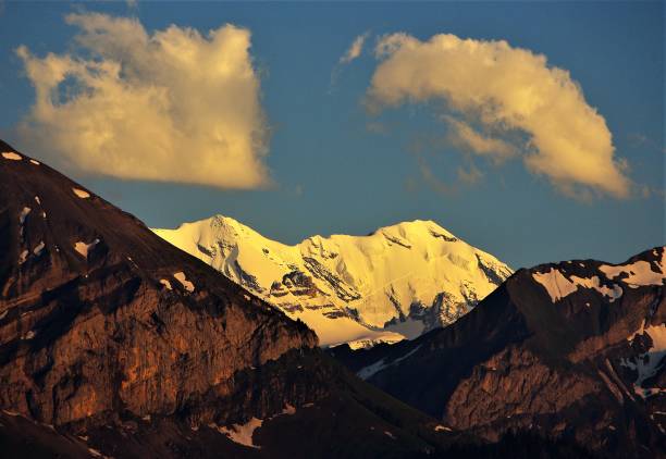 atardecer de verano las cumbres del alto de bernese oberland, suiza - silberhorn fotografías e imágenes de stock