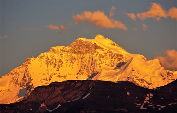 atardecer de verano las cumbres del alto de bernese oberland, suiza - silberhorn fotografías e imágenes de stock