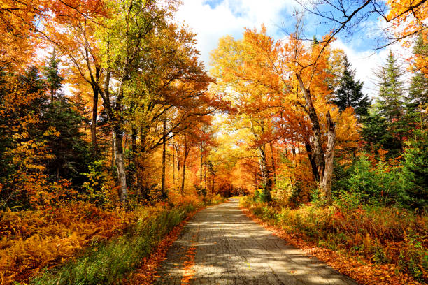 otoño road en new hampshire - appalachia mountains fotografías e imágenes de stock