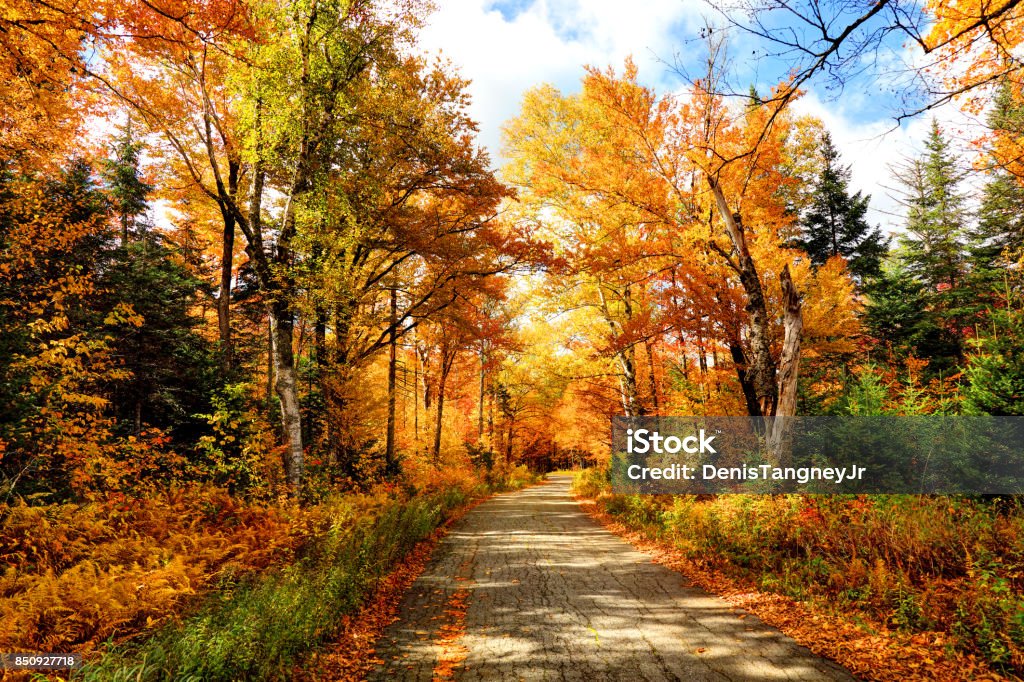 Autumn Road in New Hampshire Autumn road in the White Mountains National Forest region of New Hampshire Autumn Stock Photo