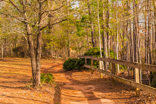 Footpath and thicket in Providence Canyon State Park, Georgia, USA