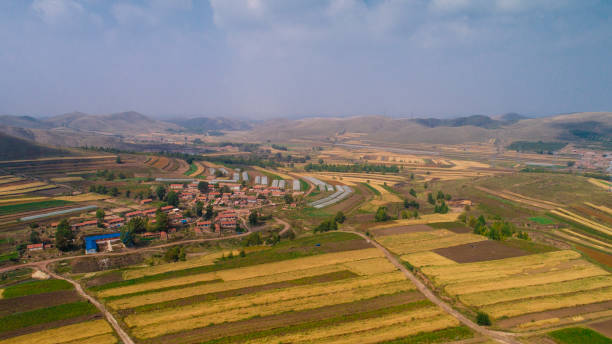 istock Aerial view-Agriculture 850937466