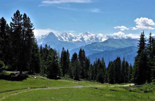 beatenberg - der sonnenterrasse des berner oberland, schweiz - monch sun snow european alps stock-fotos und bilder