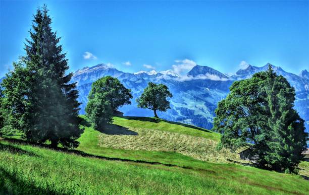 beatenberg - der sonnenterrasse des berner oberland, schweiz - monch sun snow european alps stock-fotos und bilder