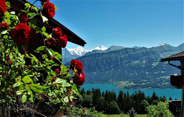 beatenberg - der sonnenterrasse des berner oberland, schweiz - monch sun snow european alps stock-fotos und bilder