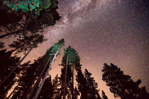 istock Milky Way Night Sky Lake Tahoe California Pine Tree Forest 850959956