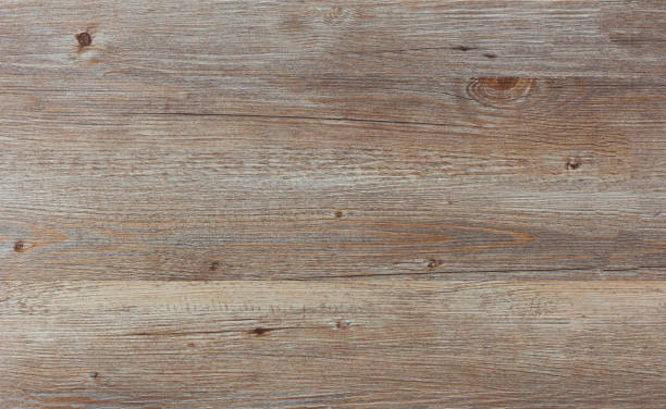 istock The texture of the wood. Paul. birch 850961018