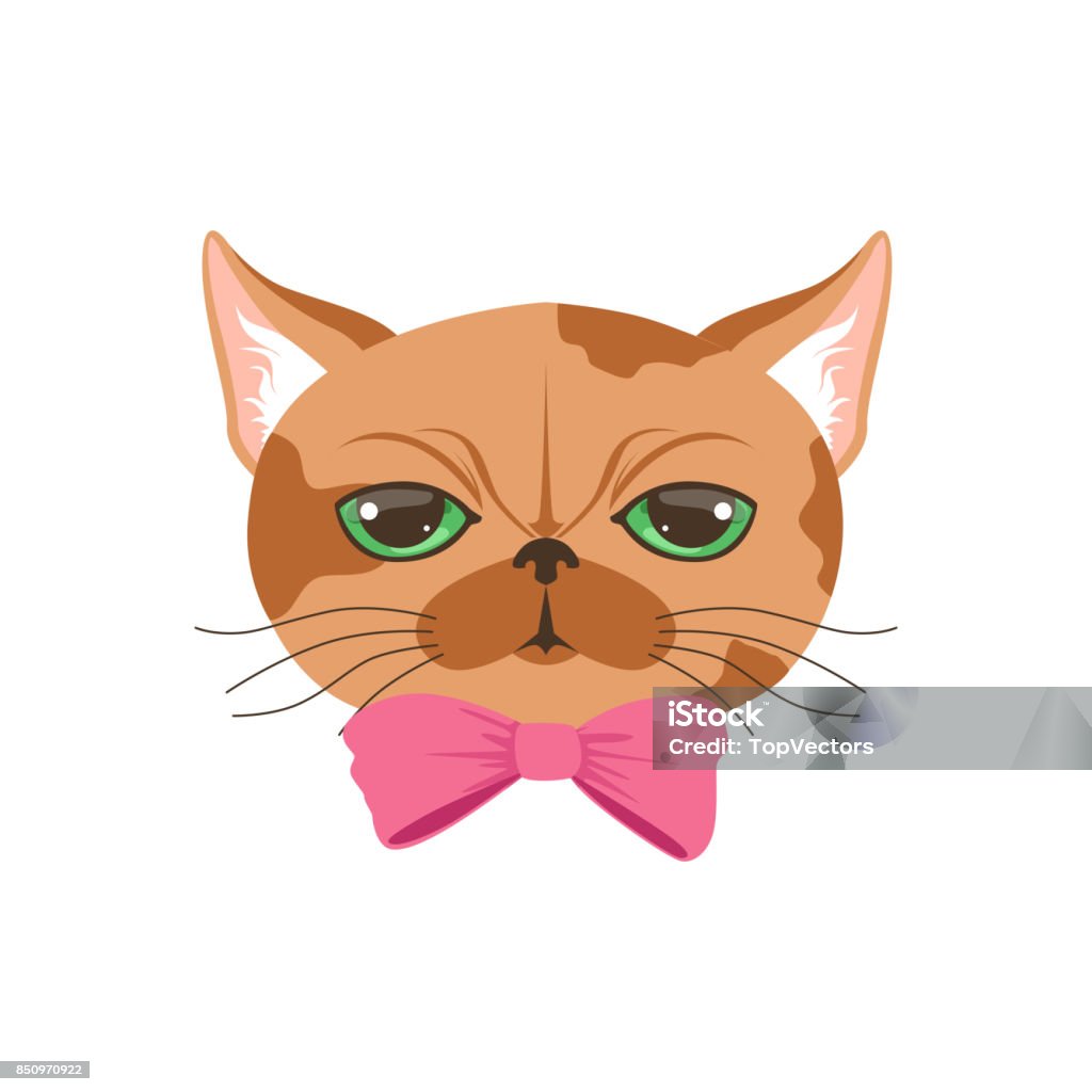Ilustración de Lindo Gato En Pajarita Rosa Ilustración De Dibujos Animados Divertido Carácter Animal Vector y más Vectores Libres de Derechos de Alemania - iStock Ilustración de Lindo Gato En Pajarita Rosa Ilustración De Dibujos Animados Divertido Carácter Animal Vector y más Vectores Libres de Derechos de Alemania - iStock