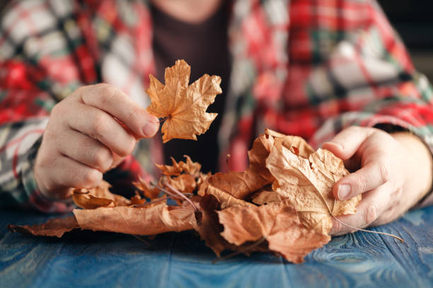 istock male hands playing with dry leaves 850973396
