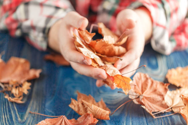 istock male hands playing with dry leaves 850974464