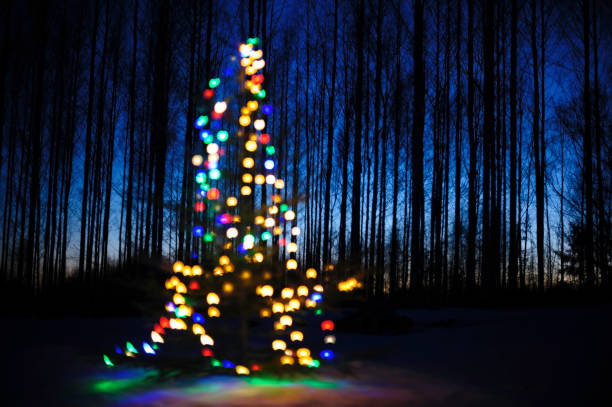 Defocused view of christmas tree