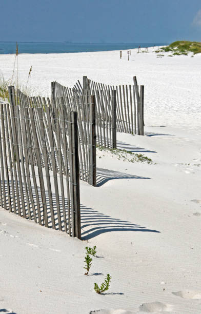 istock White sand beach dunes wood fence 850986228