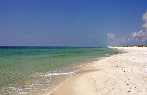 istock white sand beach pensacola beach fl calm clear water 850986514