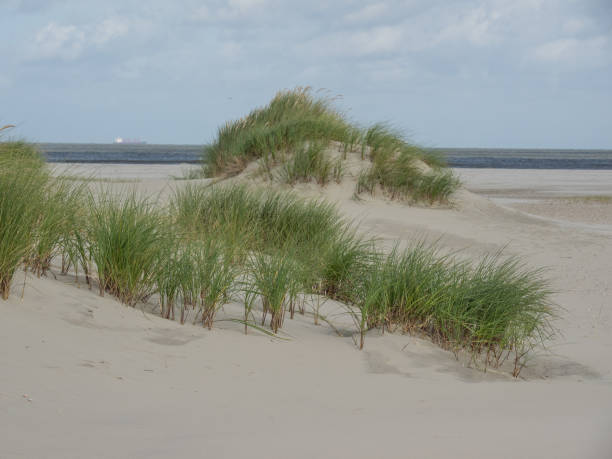 istock island in the north sea 850991358