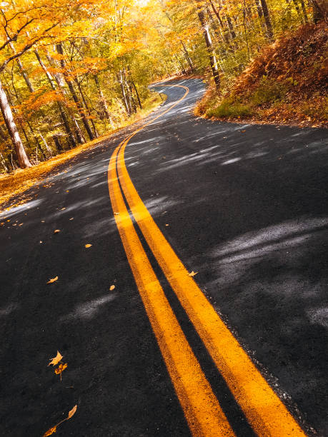 istock Autumnal road in new hampshire 850991858