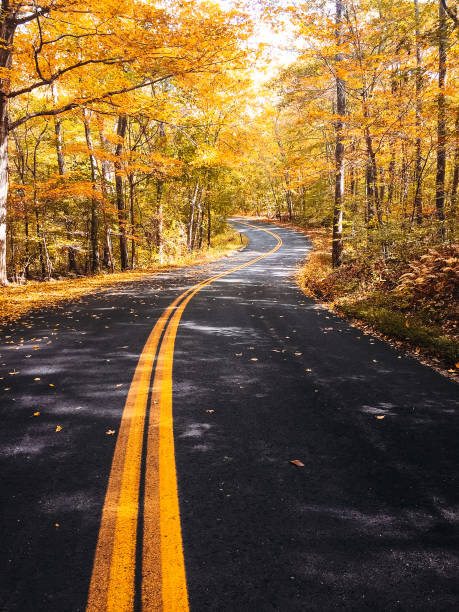 istock Autumnal road in new hampshire 850992152