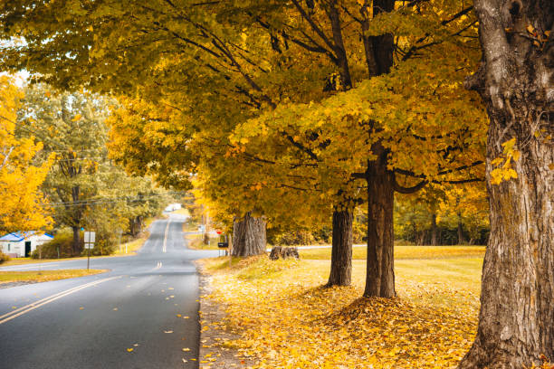 istock Autumnal road in new hampshire 850992278