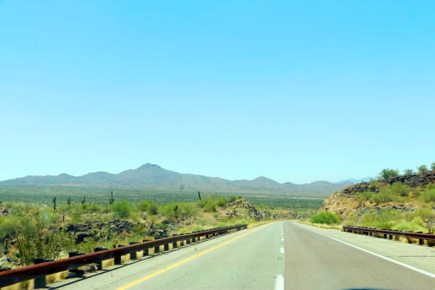 Road trip to the desert scenic view of Saguaro National Park A view of the road with saguaro cactus on travel to Arizona marie puddu stock pictures, royalty-free photos & images
