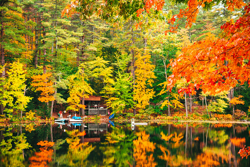 Reflections on the lake in autumn