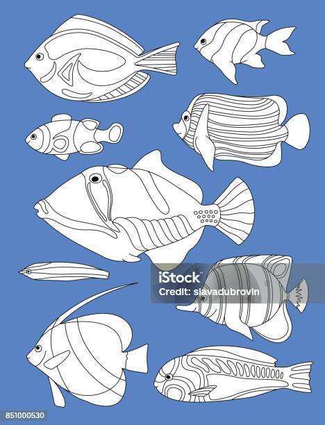 Outlined Coral Fishes Horizontal Coloring Page Tropical Fish Coloring Card Stock Illustration - Download Image Now