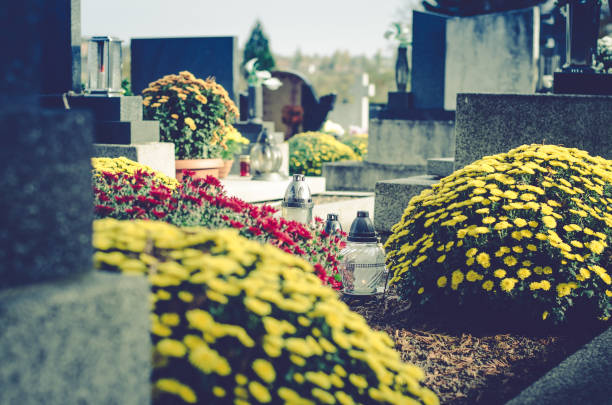 istock in the cemetery in all saints day 851000960