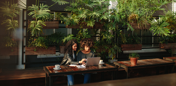 Two women sitting with a laptop and notepads at a table. Business colleagues working while having coffee.