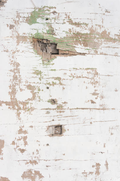 istock damaged white door with holes texture 851012192