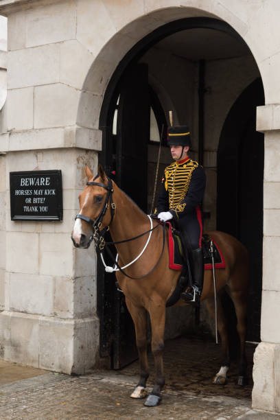 queens surveillée - household cavalry photos et images de collection