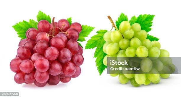 Red And Green Grape With Leaves Isolated On White Background Studio Shot Collection Stock Photo - Download Image Now