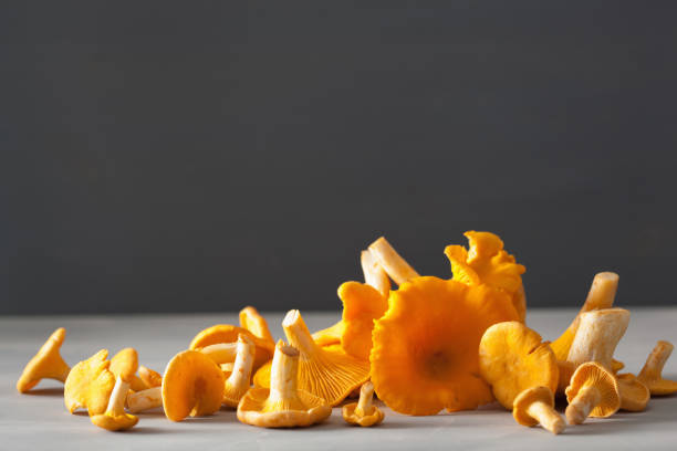 istock raw fresh chanterelle mushrooms on gray background 851025084