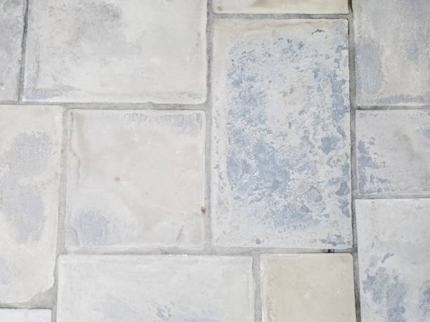istock grey stone floor with a green fern 851038064