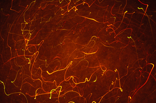 Abstract background of colorful crankles in motion on black. Bokeh of defocused curves, blurred neon orange leds, similar to gas discharge plasma ball, tesla sphere