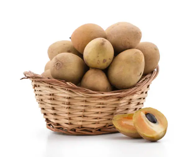 Photo of Sapodilla fruits