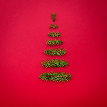 symbol Christmas tree from a fir branches on red background