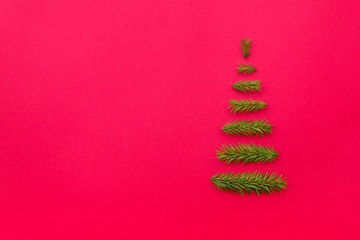symbol Christmas tree from a fir branches on red background. Copy space for your greetings