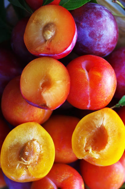 istock ripe sloes and plums on the table 851098018