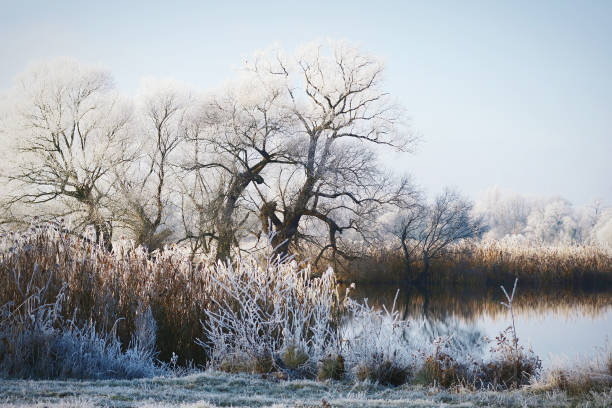 istock Rime frost landscape at Havel river (Germany) 851099786