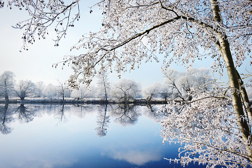 Winterlandscape on Havel River. Frost and Sunshine. Havelland (Germany)