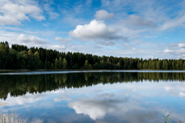 istock September Norway, forest reflection in a lake with blue sky and cotton candy clouds in autumn 851148812