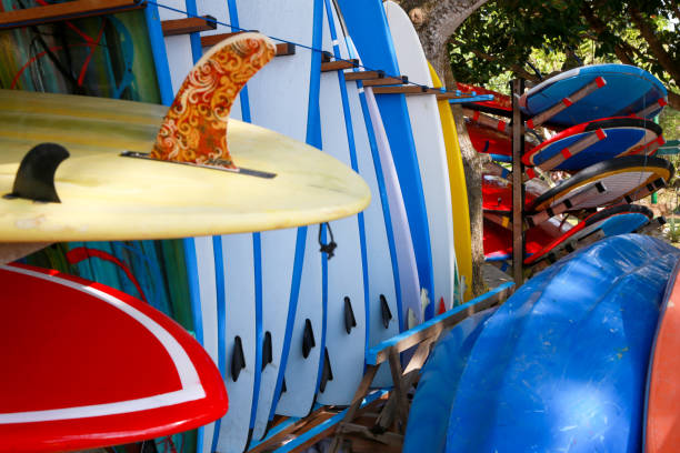 istock Stack of colorful surfboards ready for rent on the beach 851151698
