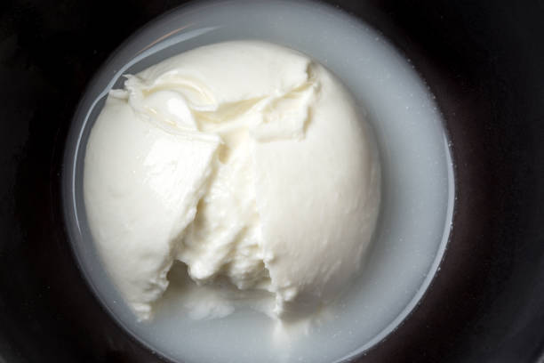 Fresh Italian Mozzarella di Buffalo close up